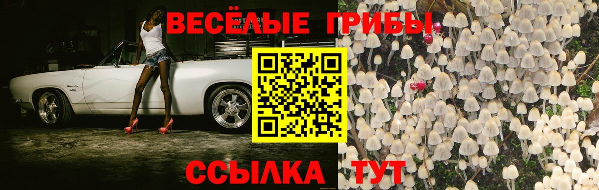 продажа наркотиков  Вход с VPN  Ногинск  Псилоцибиновые грибы Cubensis  Псилоцибиновые грибы мицелий 